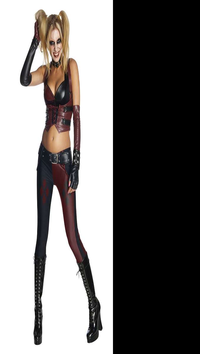 Harley Quinn Arkham City Ensemble