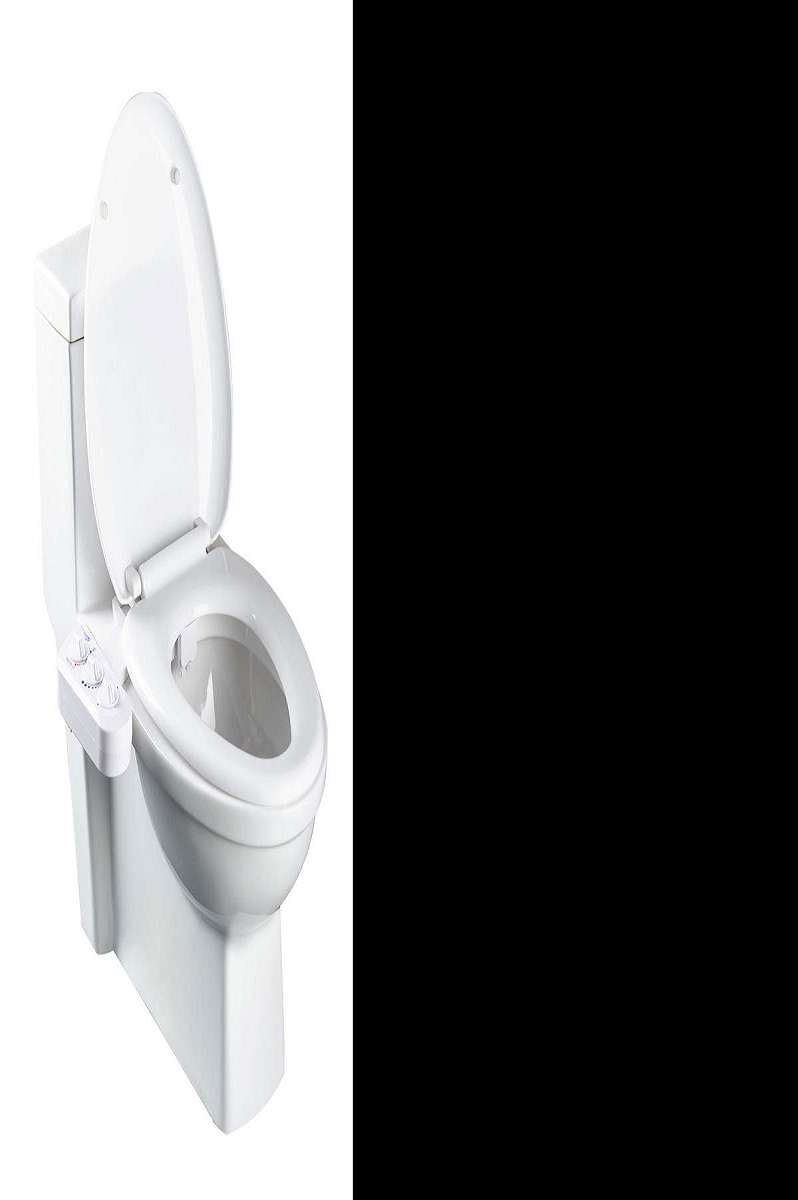 Bio Bidet Divine Ultimate Luxury Bidet