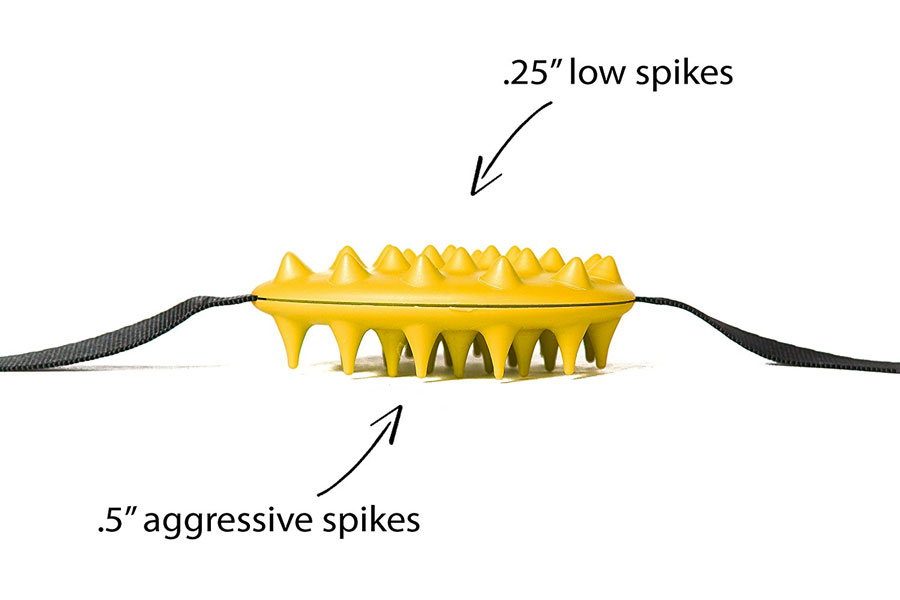 Cactus Back Scratcher Dual Spike Relief