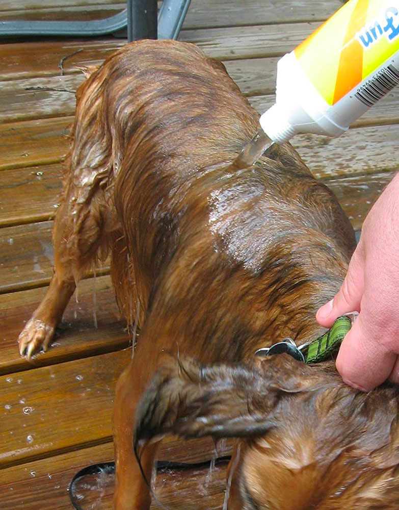 Clean Water Fun ChlorineFree Hose Filter