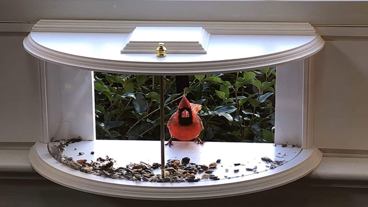 Clearview Home Extension Bird Feeder