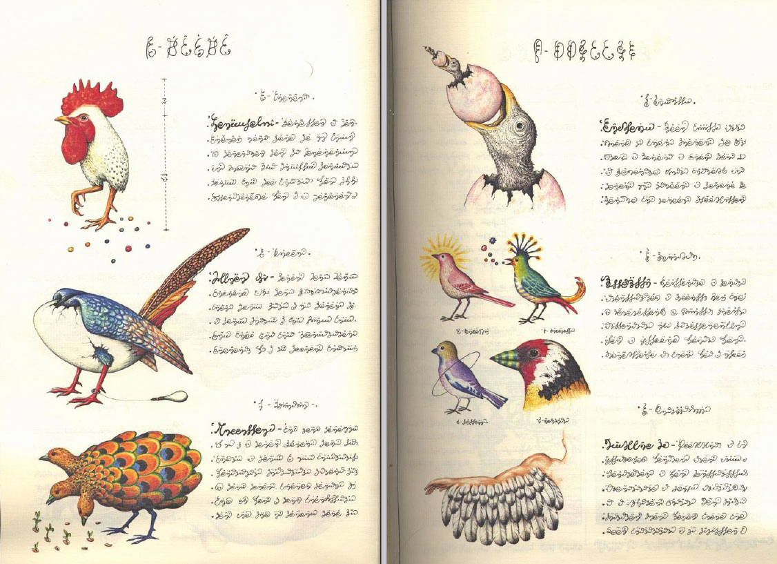 Codex Seraphinianus Enigmatic Illustrated Journey