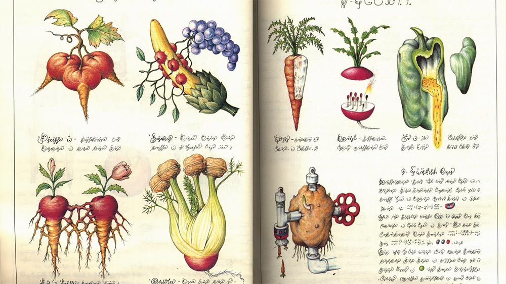 Codex Seraphinianus Enigmatic Illustrated Journey