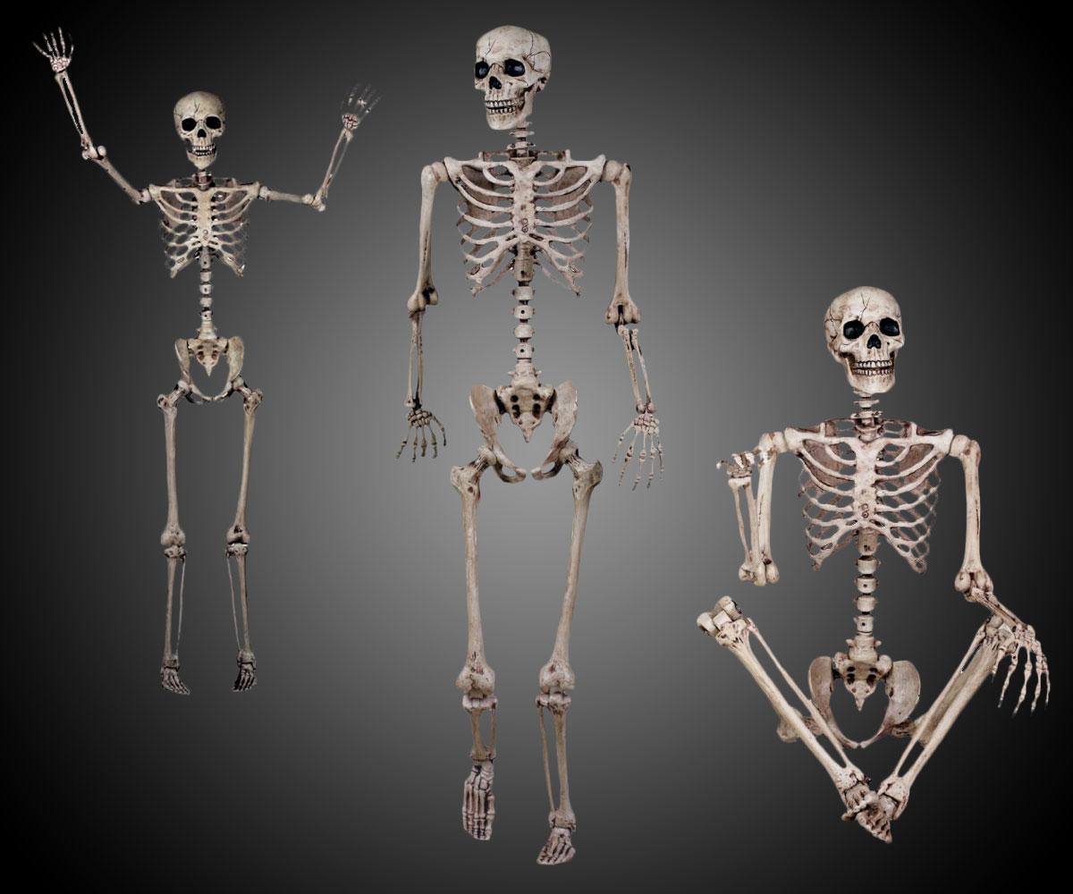 Crazy Bonez Articulated Skeleton Figure