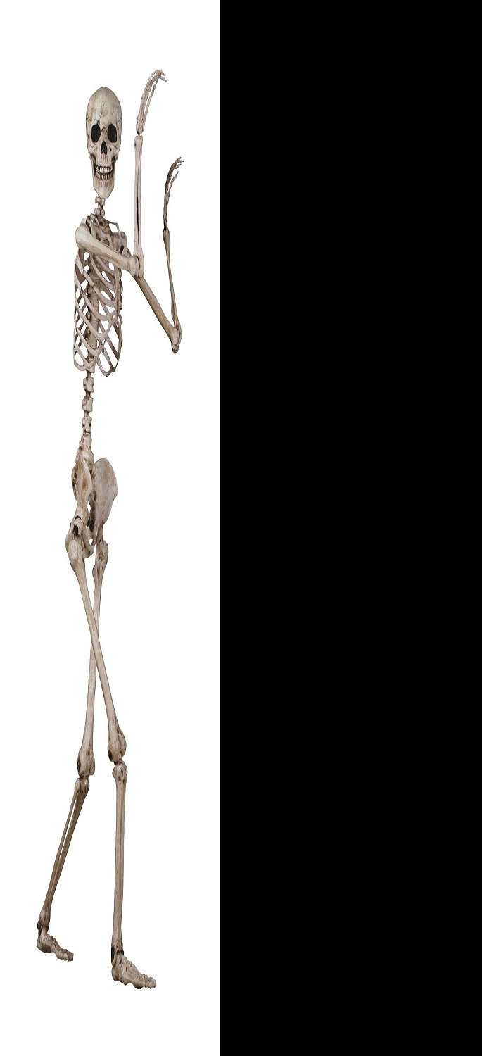 Crazy Bonez Articulated Skeleton Figure