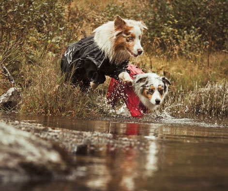 Hurtta Outdoor Overalls for LongHaired Dogs