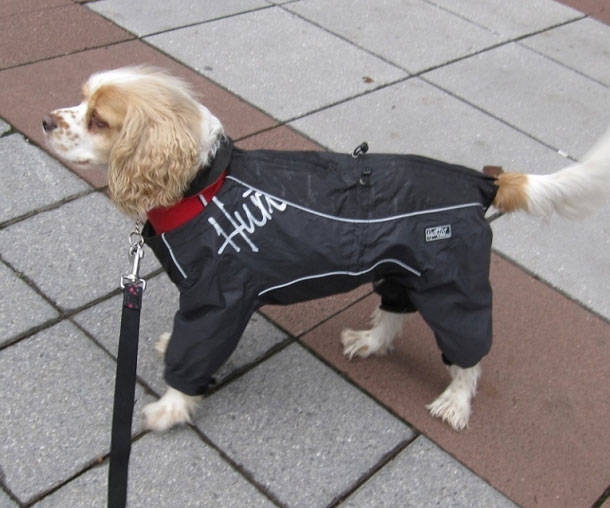 Hurtta Outdoor Overalls for LongHaired Dogs