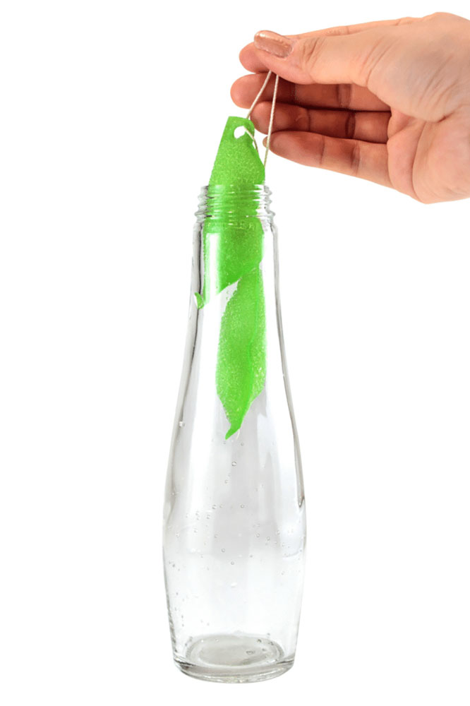 Edamame Bottle Cleansing Pods