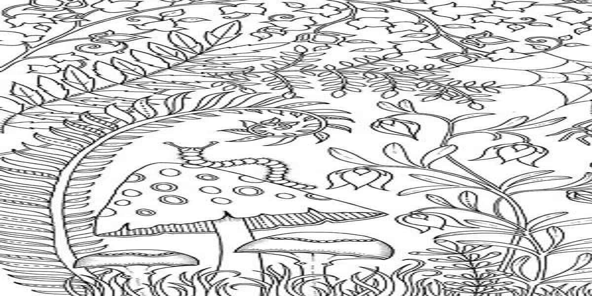 Enchanted Forest Quest Mystical Coloring Adventure