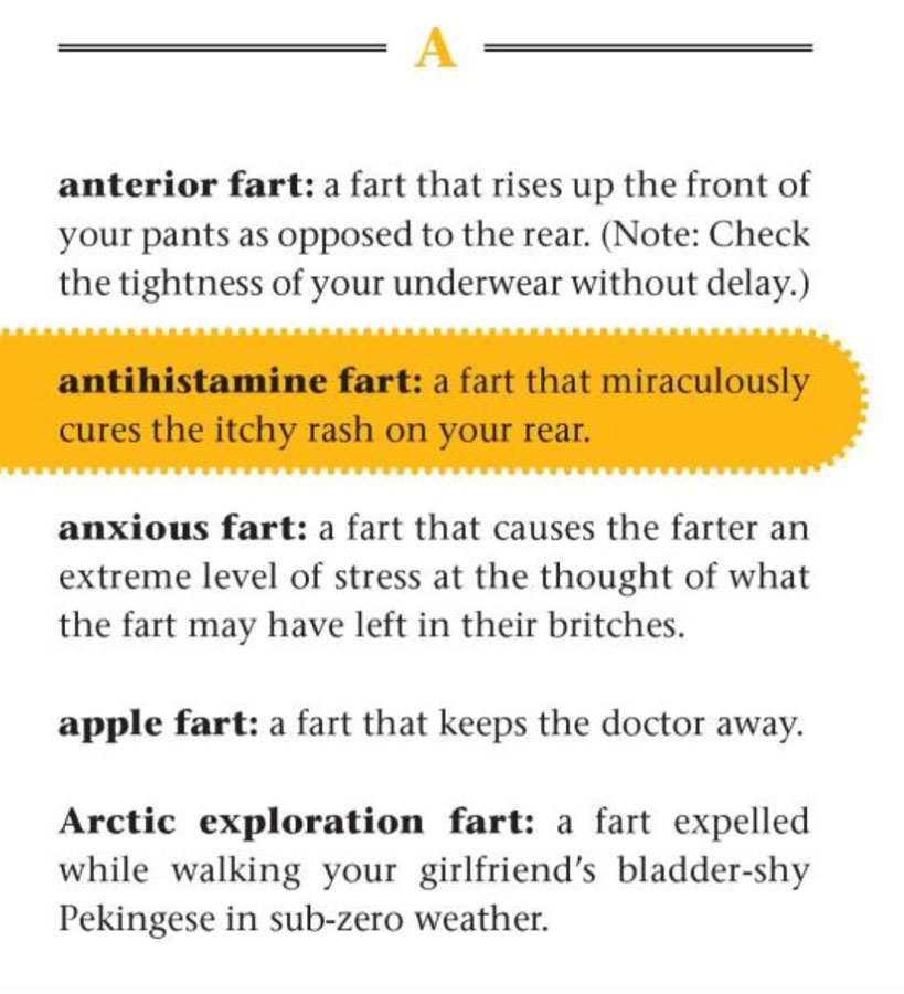 The Fart Dictionary Whimsical Gas Guide