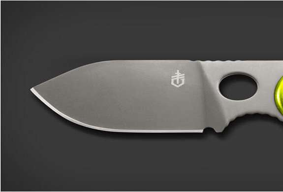 Gerber TitaniumCoated Money Clip Knife