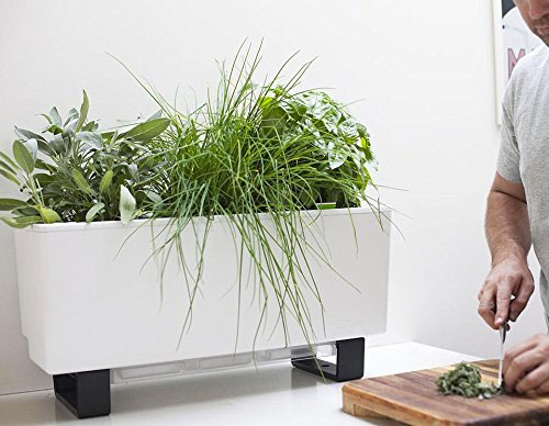 Glowpear Urban SelfWatering Planters Trio