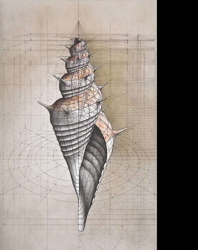 Golden Ratio Artistic Coloring Masterpiece