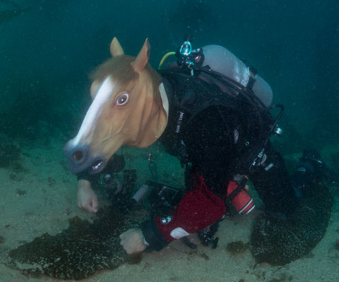 Horse Head Mask Equine Latex Mane