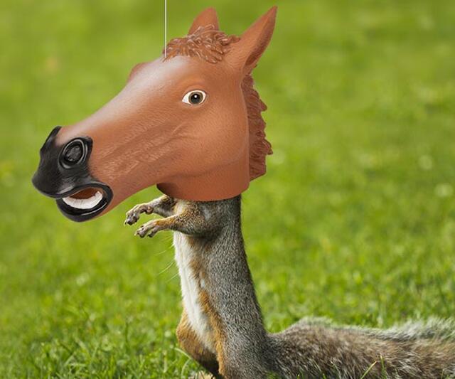 Horse Head Squirrel Attractor