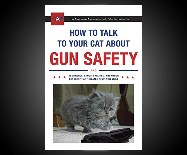 How to Safeguard Your Cat Engaging Gun Safety Talk