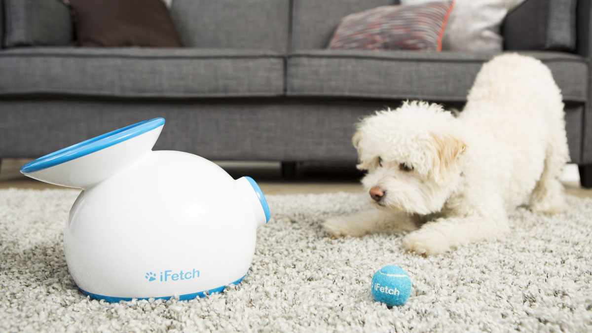 iFetch Ball Launcher Pro