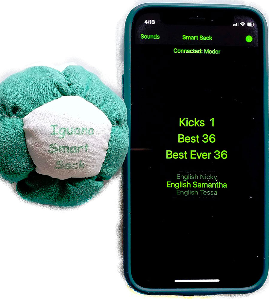 Iguana Smart Sack Bluetooth Hacky Sack Plus