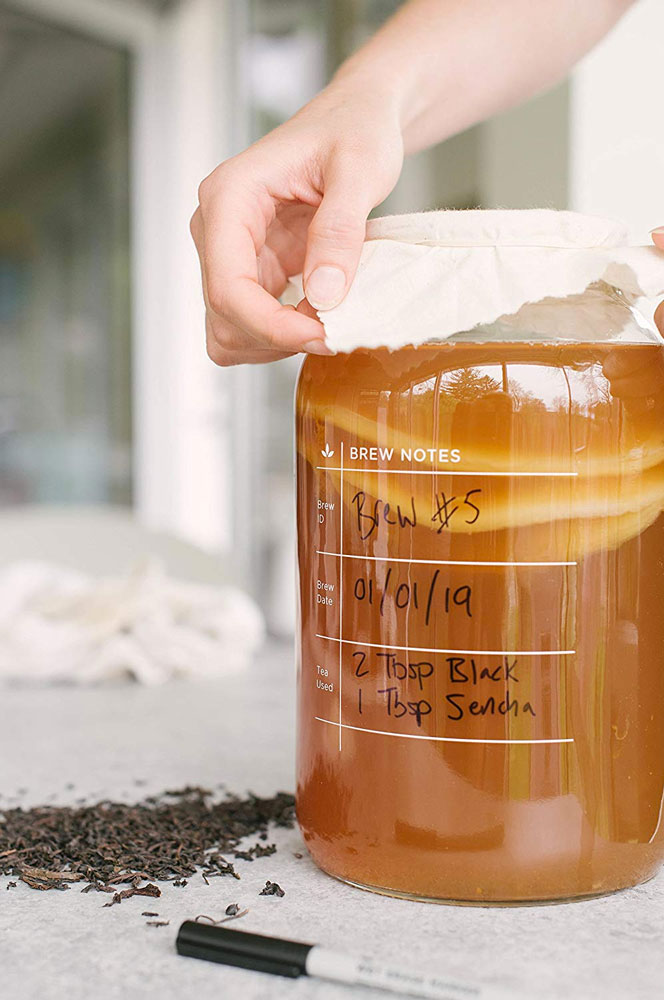 The Kombucha Shop Home Brewing Essentials