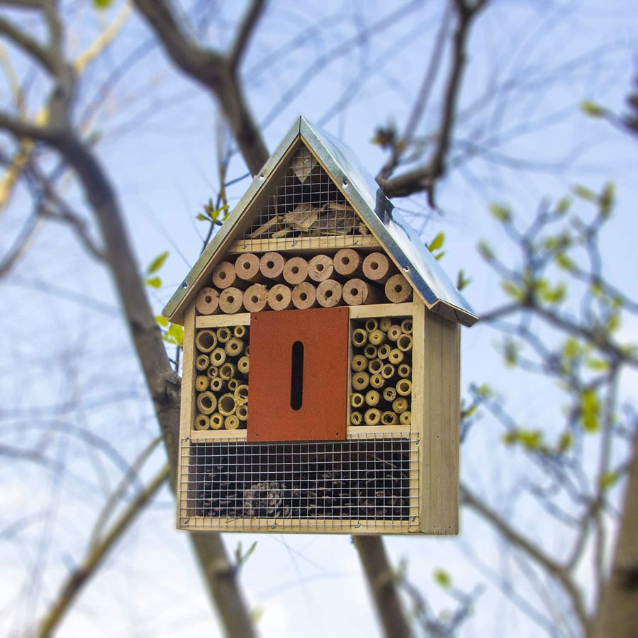 Ladybug Bee Butterfly Habitat