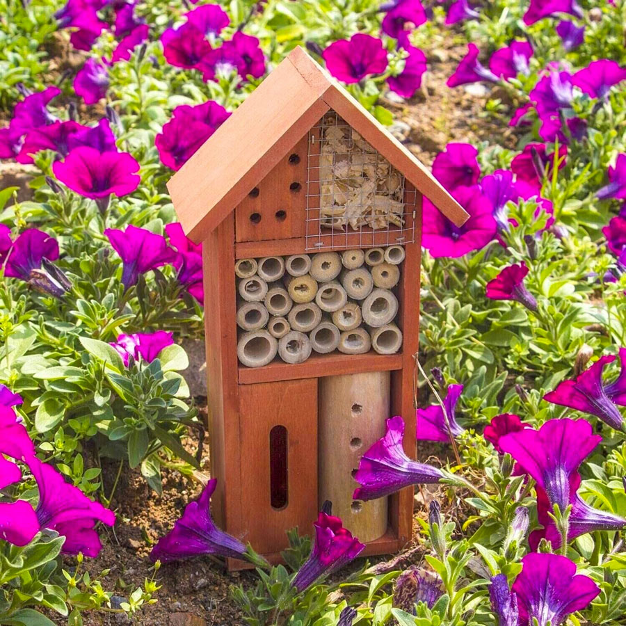 Ladybug Bee Butterfly Habitat