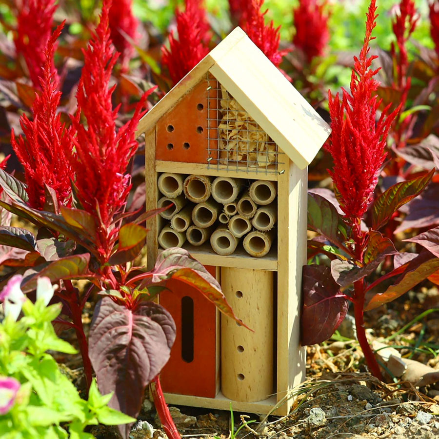 Ladybug Bee Butterfly Habitat