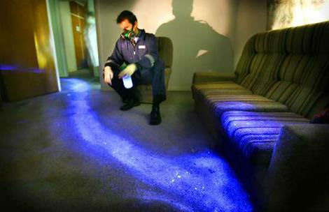 Luminol Blood Traces Detector Spray