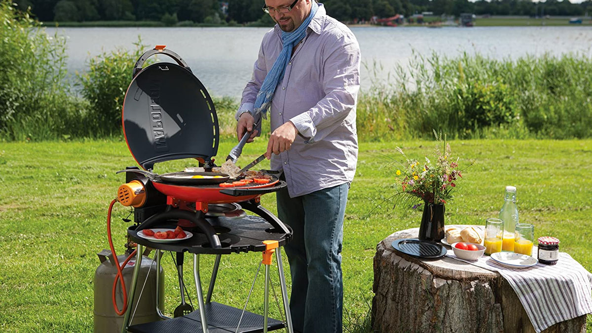 Napoleon TravelQ Compact Gas Grill