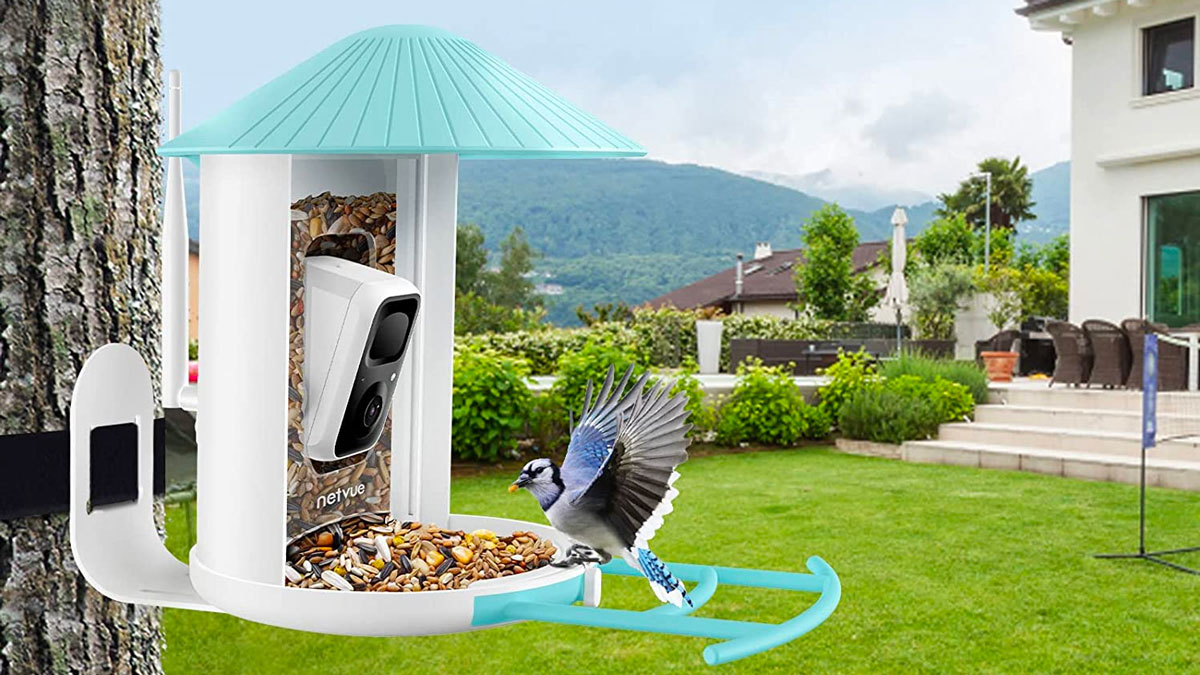 NETVUE Birdfy Lite Camera Bird Feeder