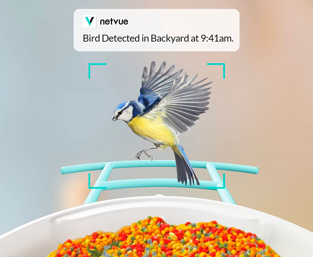 NETVUE Birdfy Lite Camera Bird Feeder