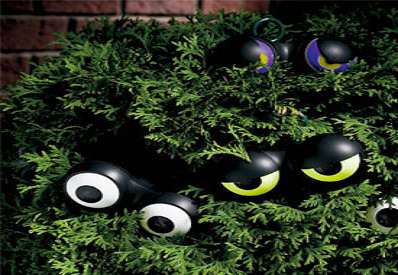 Peep n Peepers Illuminated Halloween Eyeballs