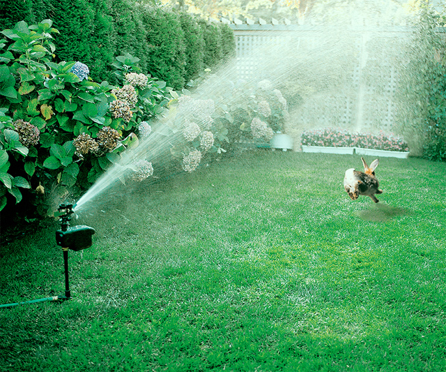 PestRepelling Scarecrow Sprinkler System