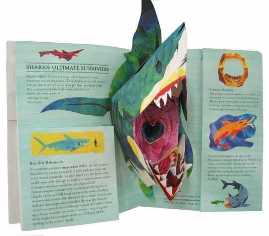 PopUp Marine Beasts Encyclopedia