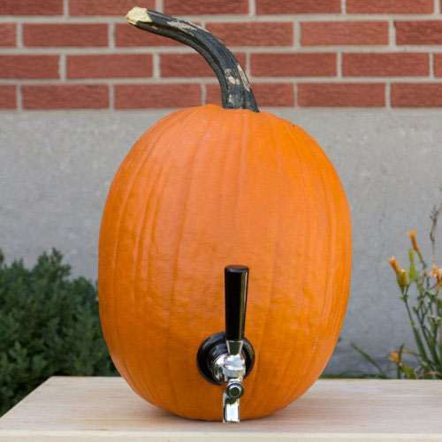 Pumpkin Tap Kit Fruitful Beverage Dispenser