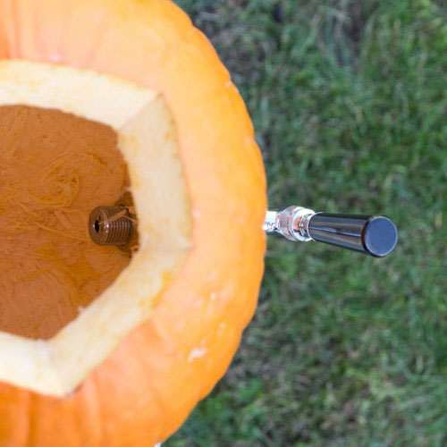 Pumpkin Tap Kit Fruitful Beverage Dispenser