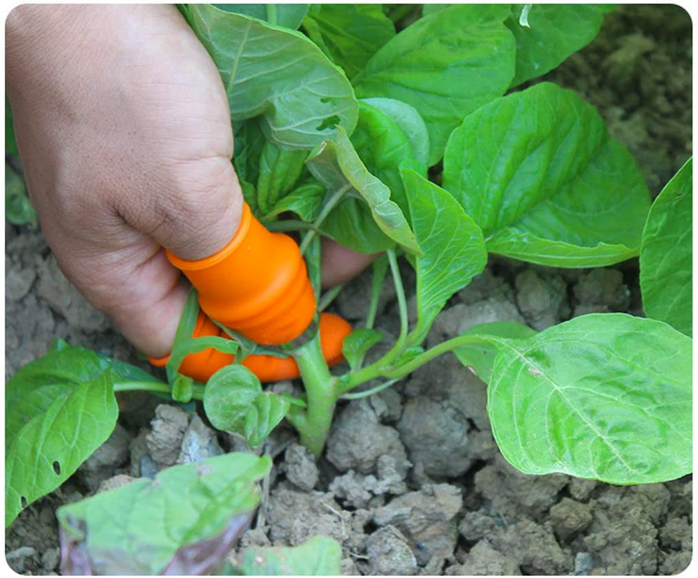 Thumb Cover Harvesting Knife Set