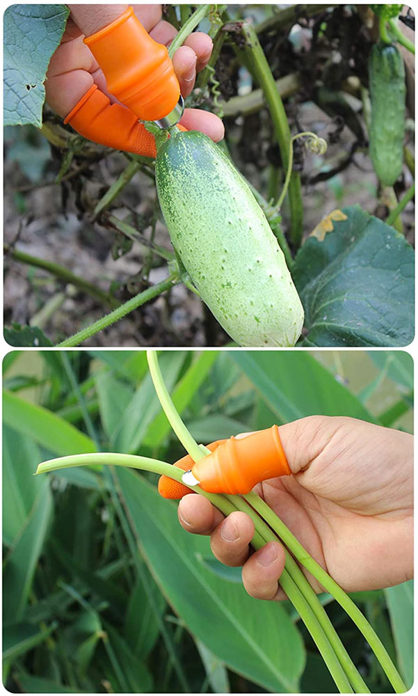 Thumb Cover Harvesting Knife Set