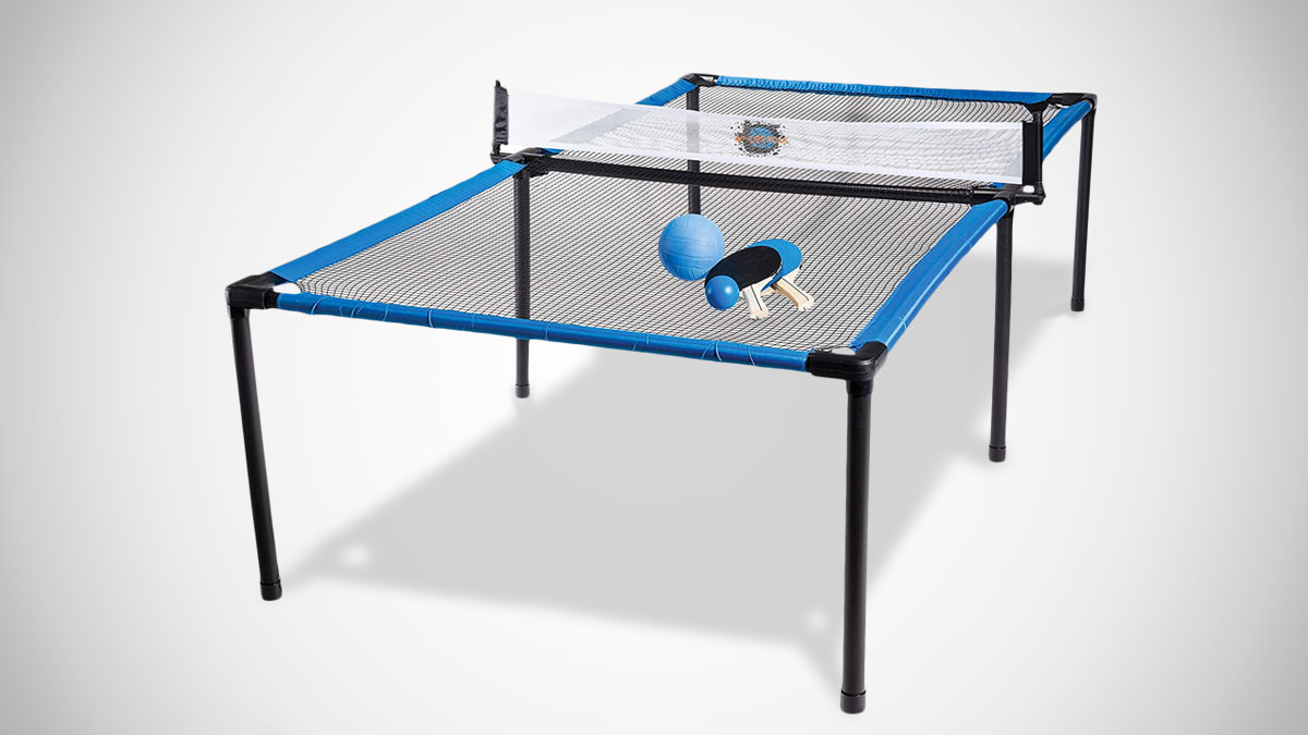 SpyderPong Multiplayer Fusion Game