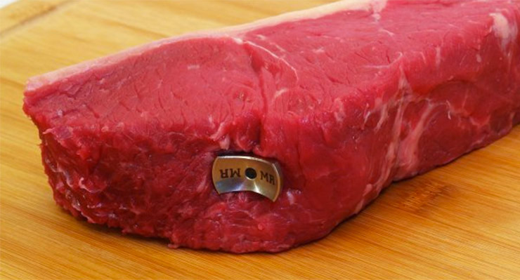 SteakChamp Steak Perfection Gauges