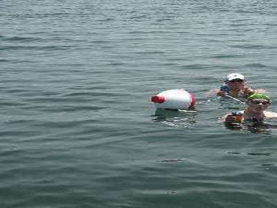 The Big Bobber Floating Beverage Cooler