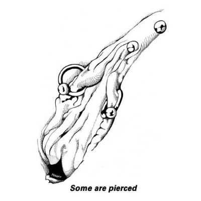 The Vagina Artistry Coloring Book