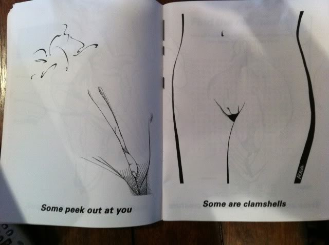 The Vagina Artistry Coloring Book