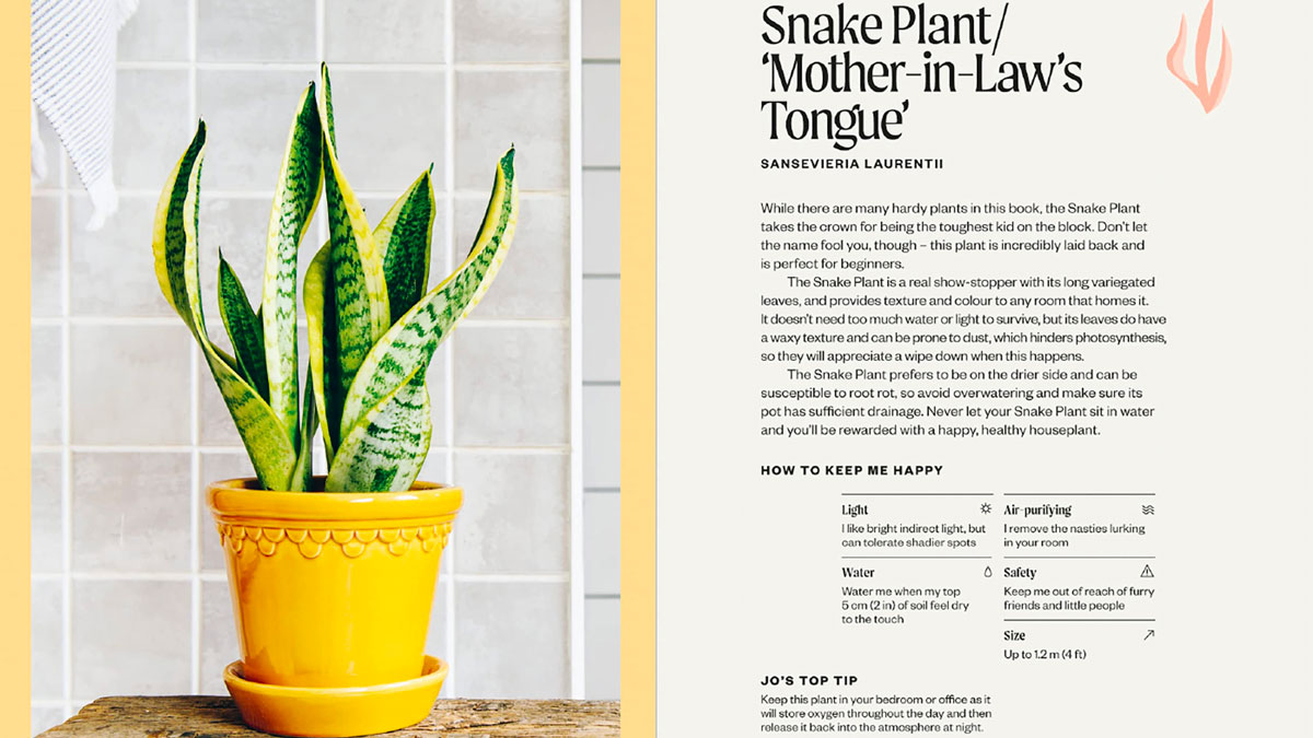 The Unkillables Resilient Houseplants Guide