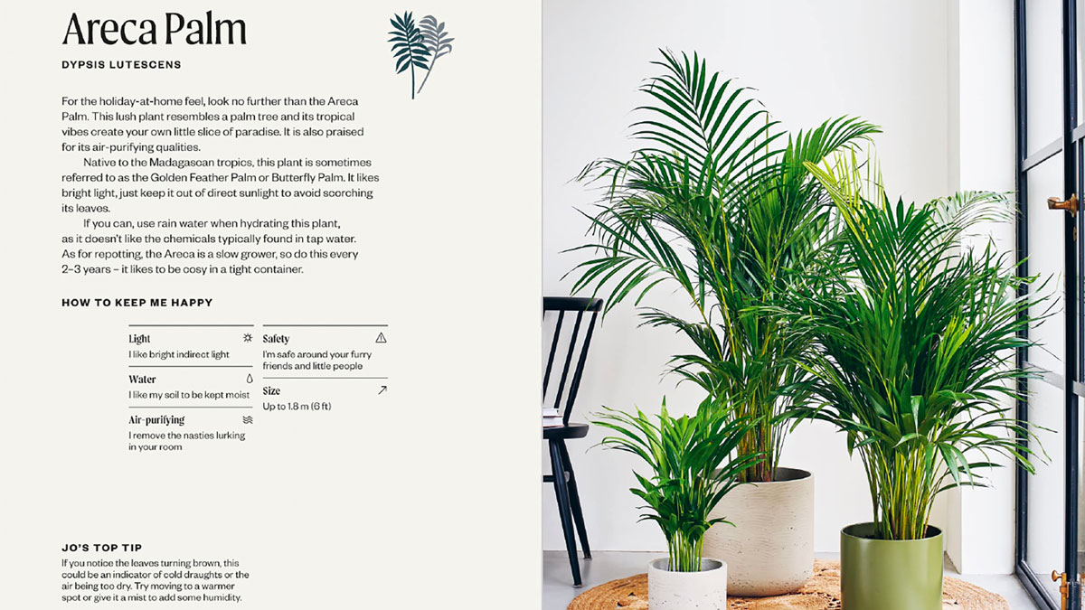 The Unkillables Resilient Houseplants Guide