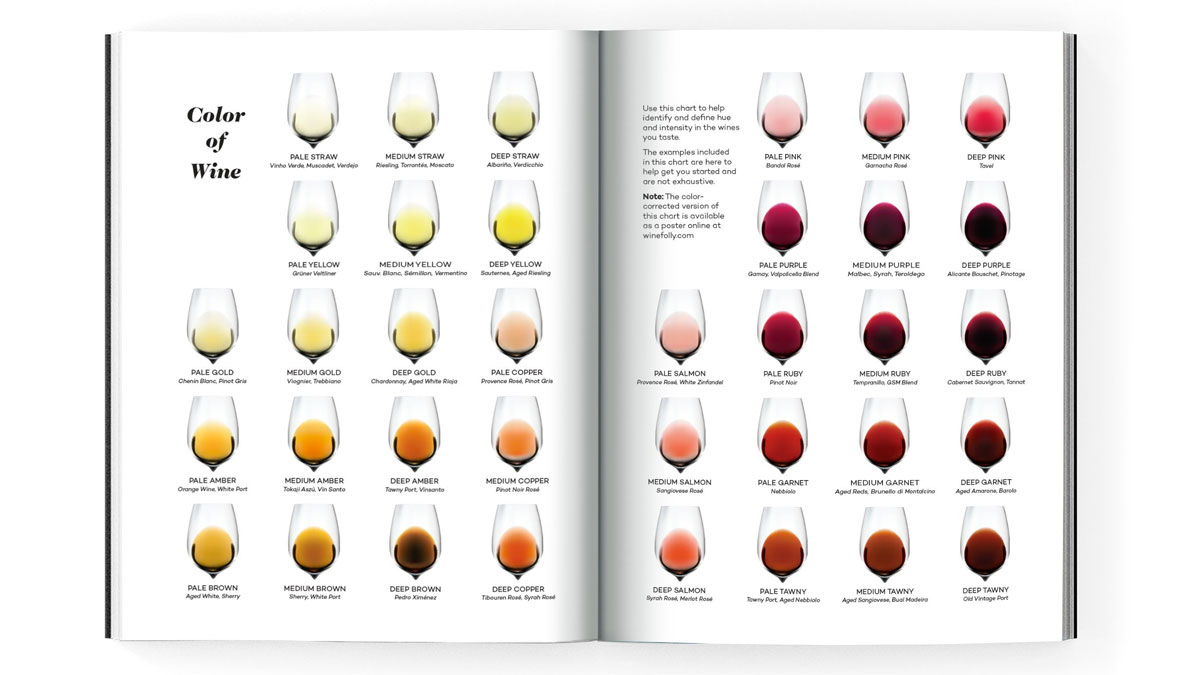 Wine Folly Magnum Master Guide Ultimate Wine Companion