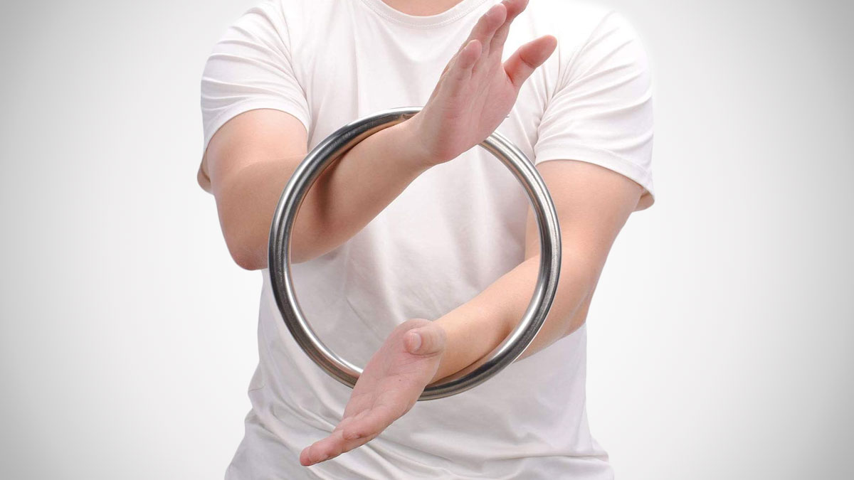 Wing Chun Steel Hand Training Ring