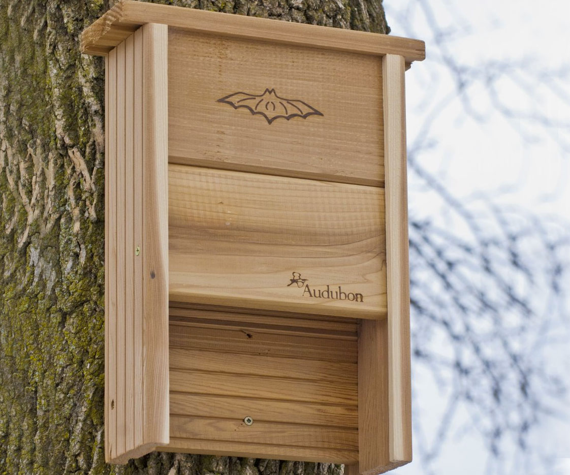 Audubon Colony Bat Shelter