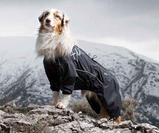 Hurtta Outdoor Overalls for LongHaired Dogs