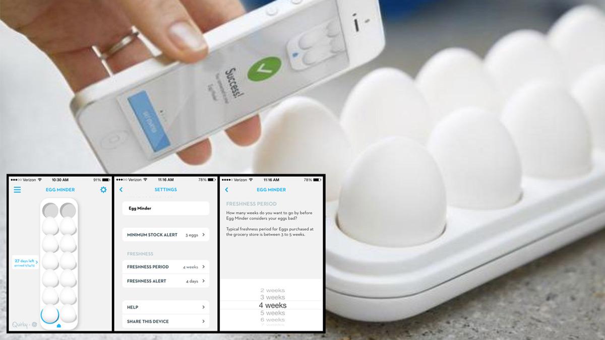 Egg Minder Smart Egg Storage