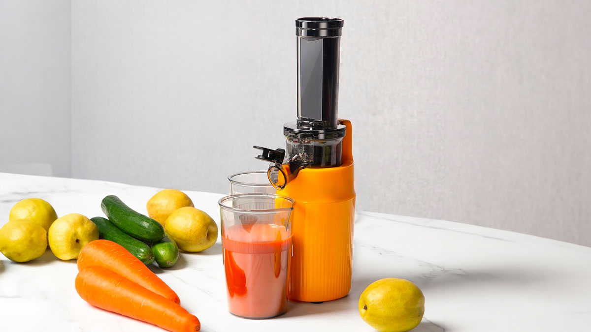 Ginnie Juicer Slow Masticating Nutrition Extractor